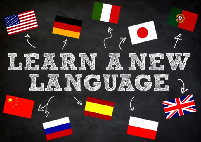 Learning Language: A Journey to Multilingual Mastery